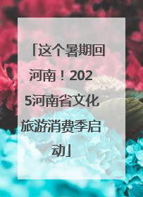 这个暑期回河南！2025河南省文化旅游消费季启动